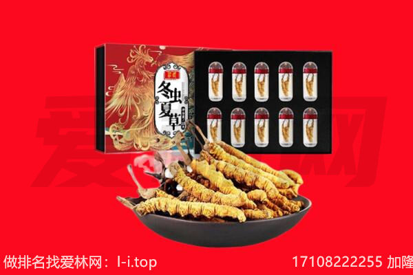 德州齐河县回收虫草.jpg